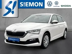 Weiß Gebraucht 2021 Skoda Scala Cool Plus Kleinwagen | 15.680 € (Guter Preis)