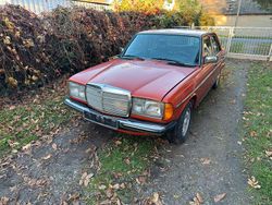 Orange Gebraucht 1981 Mercedes 200 Limousine | 4.950 €