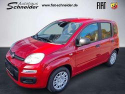 Passione rot Neu 2025 Fiat Panda Kleinwagen | 16.490 € (Etwas zu teuer)