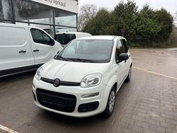 Weiß Gebraucht 2019 Fiat Panda Pop Limousine | 8.390 € (Fairer Preis)