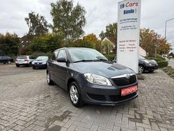 Grau Gebraucht 2010 Skoda Fabia Classic Kleinwagen | 3.799 € (Fairer Preis)