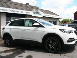 Jade weiss Gebraucht 2019 Opel Grandland X Selection SUV | 12.390 € (Fairer Preis)