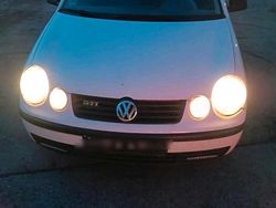 Weiß Gebraucht 2003 VW Polo Kleinwagen | 750 € (Guter Preis)
