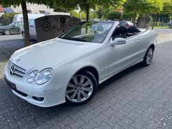 Weiß Gebraucht 2010 Mercedes CLK350 Cabrio | 19.850 €