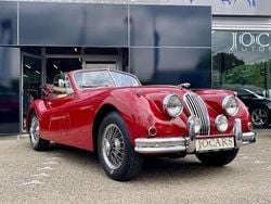 Rot Gebraucht 1955 Jaguar XK Cabrio | 99.950 €