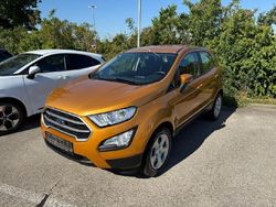 Gelb Gebraucht 2019 Ford Ecosport Trend SUV | 7.980 € (Superpreis)