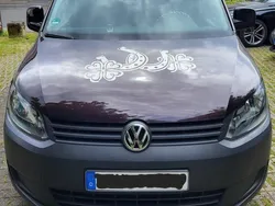 Gebraucht 2014 VW Caddy Trendline Van / Kleinbus | 5.900 € (Superpreis)