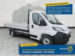 Cassablancaweiß Neu 2025 Opel Movano Van | 29.990 € (Guter Preis)
