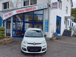 Weiß Gebraucht 2015 Fiat Panda Easy Kleinwagen | 6.900 € (Fairer Preis)