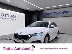 Weiss Gebraucht 2023 Skoda Octavia Style Kombi | 24.221 € (Guter Preis)
