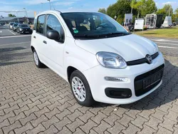 Weiß Gebraucht 2020 Fiat Panda Easy Kleinwagen | 8.900 € (Fairer Preis)