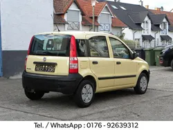 Gelb Gebraucht 2009 Fiat Panda Kleinwagen | 2.450 € (Fairer Preis)