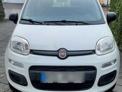 Weiß Gebraucht 2020 Fiat Panda Kleinwagen | 8.500 € (Fairer Preis)