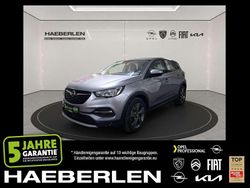 Quarz silber Gebraucht 2021 Opel Grandland X Elegance SUV | 18.870 € (Guter Preis)
