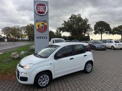 Weiß Gebraucht 2015 Fiat Panda Mystyle Kleinwagen | 7.300 € (Fairer Preis)