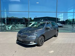 Grau Gebraucht 2020 Skoda Fabia Limousine | 16.990 € (Teuer)