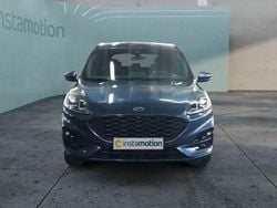 Blau Gebraucht 2024 Ford Kuga SUV | 26.999 € (Guter Preis)