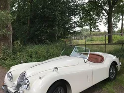 Gebraucht 1956 Jaguar XK SE Cabrio | 88.000 €