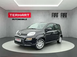 Colore esterno (cinema schwarz Neu 2024 Fiat Panda Kleinwagen | 15.487 € (Fairer Preis)