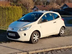 Weiß Gebraucht 2010 Ford Ka Trend Kleinwagen | 4.100 € (Fairer Preis)
