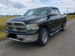 Schwarz Gebraucht 2009 Dodge Ram Abholung | 19.000 €