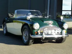 Grün Gebraucht 1963 Austin Healey 3000 MK II Cabrio | 53.900 €