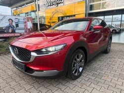 Rot Gebraucht 2020 Mazda CX-30 Selection SUV | 20.990 € (Guter Preis)