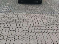 Schwarz Gebraucht 2009 VW Fox Style Kleinwagen | 1.900 € (Fairer Preis)