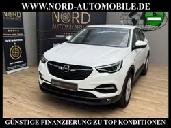 Jade weiß Gebraucht 2021 Opel Grandland X Business SUV | 18.350 € (Superpreis)