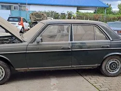 Grün Gebraucht 1983 Mercedes 240 Limousine | 2.250 €