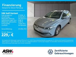Mondsteingrau Gebraucht 2020 VW Golf VIII Life Kombi | 17.830 € (Fairer Preis)