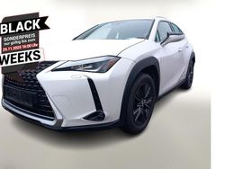 Weiss Gebraucht 2019 Lexus UX 250h Launch Edition SUV | 24.488 € (Etwas zu teuer)