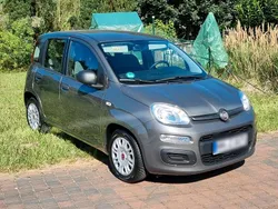 Grau Gebraucht 2022 Fiat Panda Kleinwagen | 12.299 € (Etwas zu teuer)