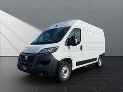 Weiß (colore esterno (weiss (pastell))) Gebraucht 2023 Fiat Ducato Van | 34.990 € (Teuer)