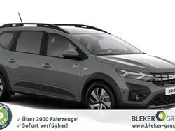 Schiefergrau Neu 2025 Dacia Jogger Expression Van / Kleinbus | 20.390 € (Guter Preis)
