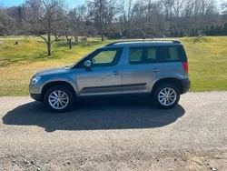 Grau Gebraucht 2013 Skoda Yeti Active SUV | 5.494 € (Guter Preis)