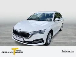 Candyweiß Gebraucht 2023 Skoda Octavia Style Kombi | 24.180 € (Guter Preis)