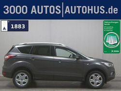 Grau Gebraucht 2019 Ford Kuga Cool & Connect SUV | 13.980 € (Superpreis)