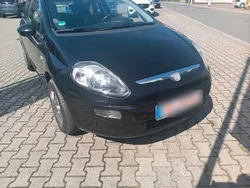 Schwarz Gebraucht 2012 Fiat Punto Kleinwagen | 2.900 € (Fairer Preis)