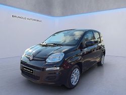 Schwarz Neu 2025 Fiat Panda Icon Kleinwagen | 16.900 € (Etwas zu teuer)