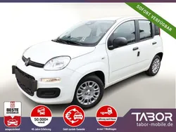 Weiß Neu 2025 Fiat Panda Kleinwagen | 13.748 € (Guter Preis)