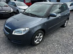 Grau Gebraucht 2010 Skoda Fabia Style Limousine | 1.399 € (Superpreis)