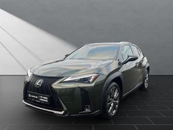 Grün Neu 2025 Lexus UX 300h Sport Design Packet SUV | 38.990 € (Fairer Preis)