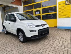 Weiß Gebraucht 2022 Fiat Panda Kleinwagen | 9.380 € (Fairer Preis)