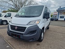 Weiß Gebraucht 2015 Fiat Ducato Van | 8.400 € (Fairer Preis)