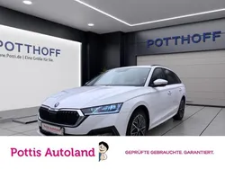 Weiss Gebraucht 2021 Skoda Octavia Ambition Kombi | 19.977 € (Guter Preis)