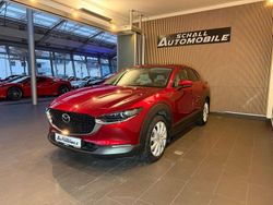Soul red crystal Gebraucht 2019 Mazda CX-3 Selection SUV | 22.890 € (Fairer Preis)