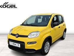 Gelb (gelb) Neu 2024 Fiat Panda Kleinwagen | 13.990 € (Fairer Preis)