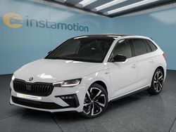 Weiß Neu 2025 Skoda Scala Kleinwagen | 29.949 € (Etwas zu teuer)
