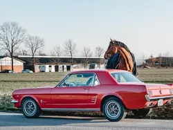 Rot Gebraucht 1966 Ford Mustang Coupé | 35.500 €